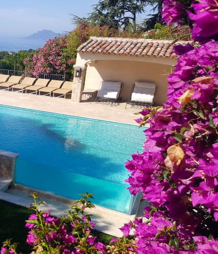 piscine paysage frejus